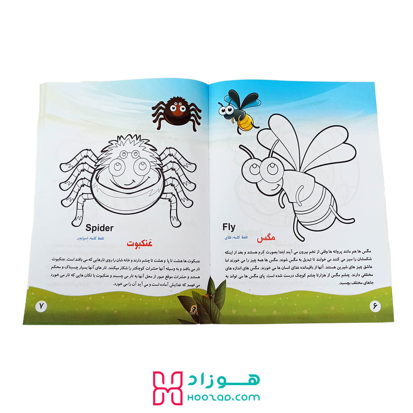 کتاب آموزش جادویی حشرات به فارسی و انگلیسی با رنگ آمیزی